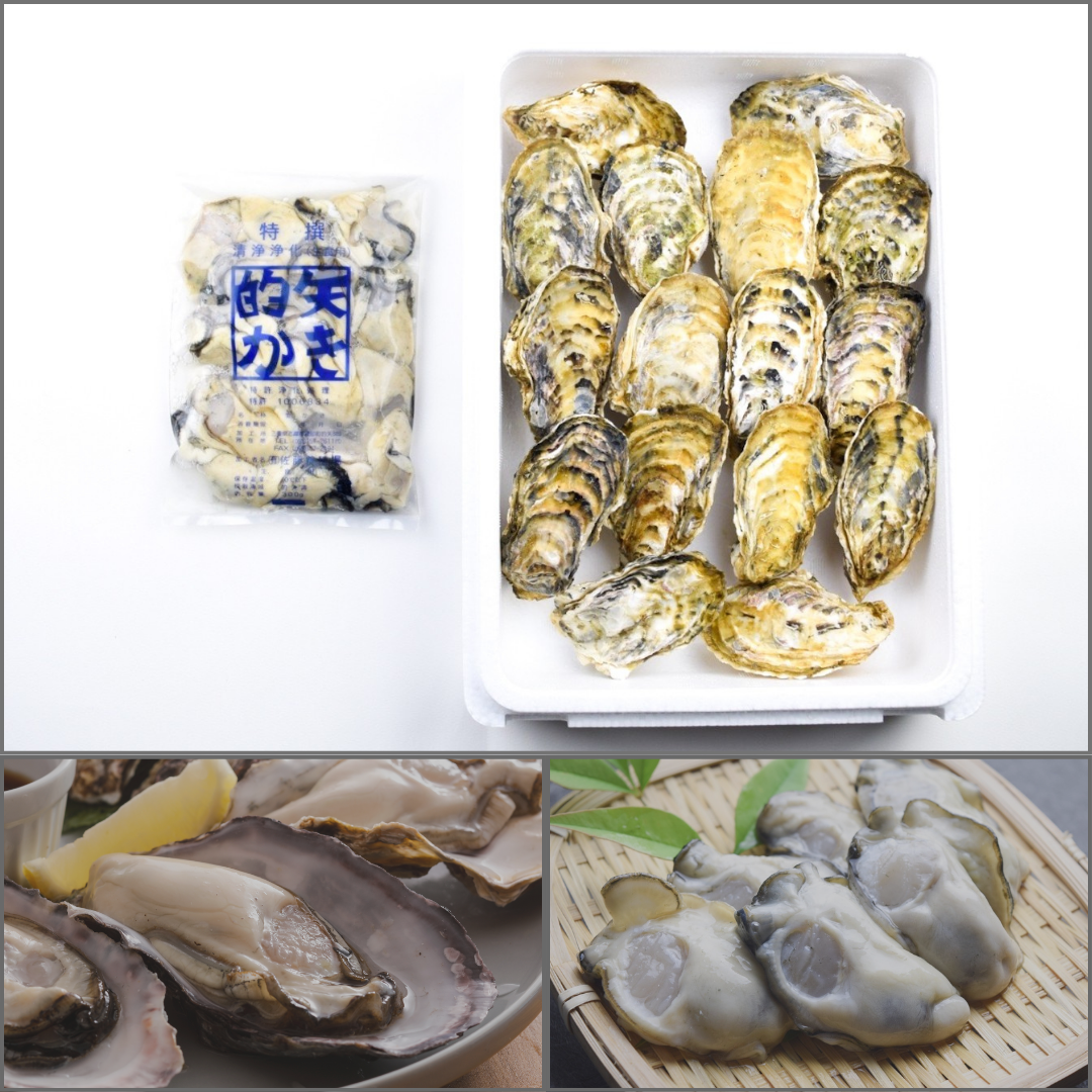 ご自宅用 的矢かき(最終出荷3/16)