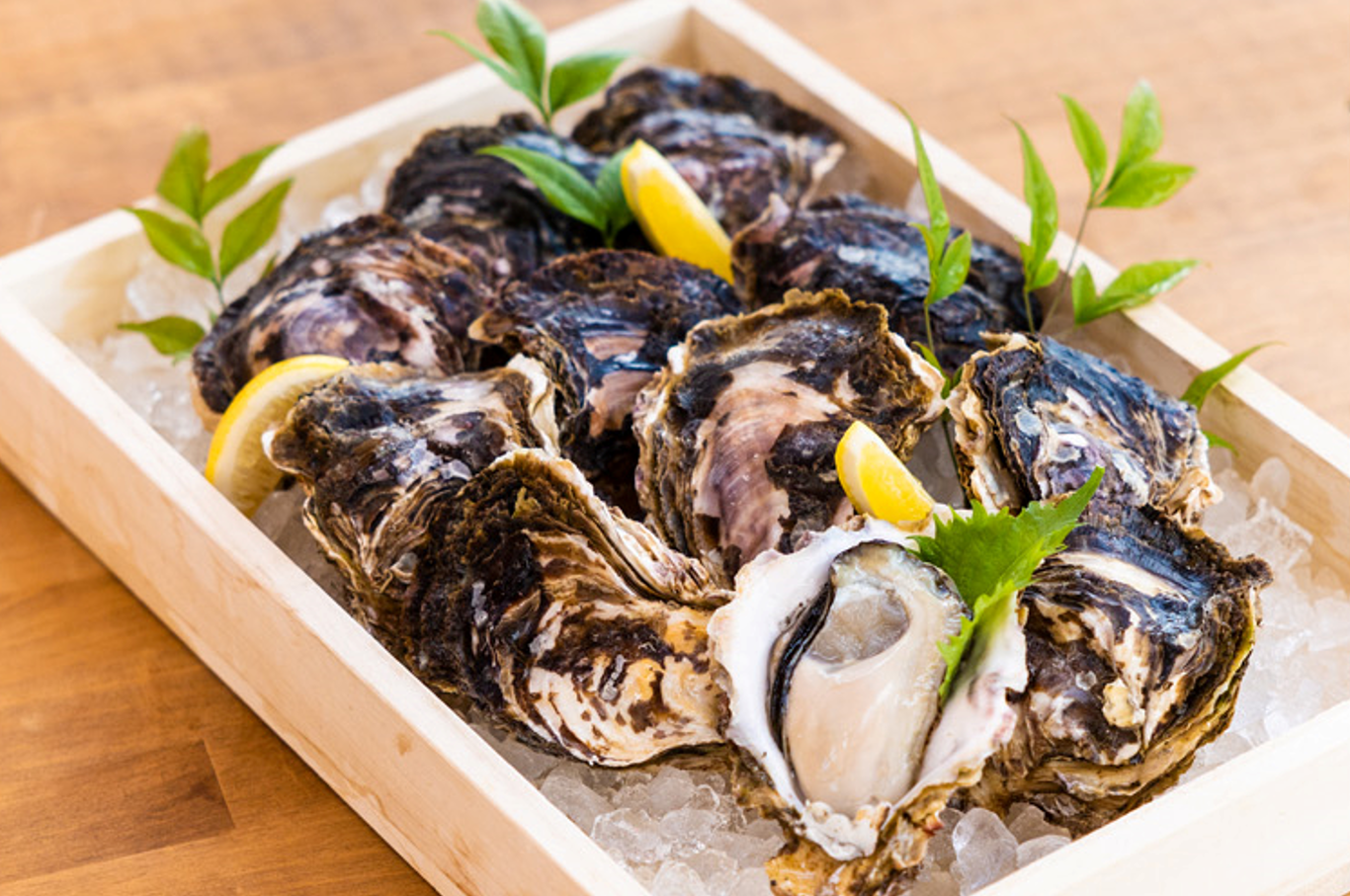 岩かき【売り切れ】